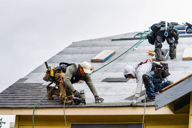 Professional Roof Inspection technician working in Lapaz, IN